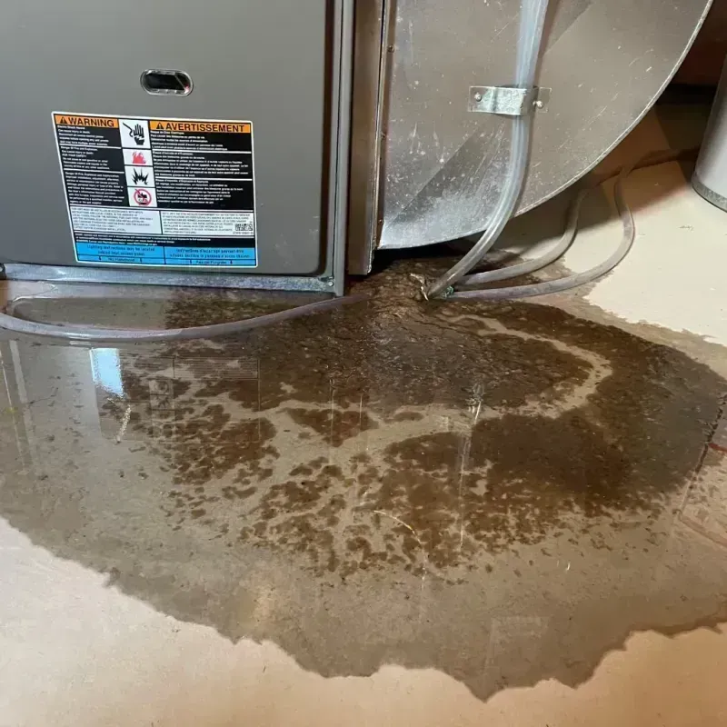 Appliance Leak Cleanup in Joint Base Lewis McChord, WA